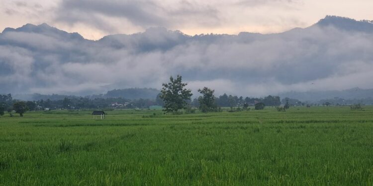 Kabupaten Wonogiri, Kabupaten dengan Jalan yang Amat Menantang dan Sulit Ditaklukkan, tapi Dibayar dengan Pemandangan yang Amat Menawan