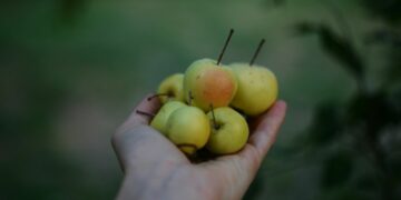 4 Dosa Penjual Keripik Buah di Malang yang Perlahan "Mengusir” Pembelinya Mojok.co