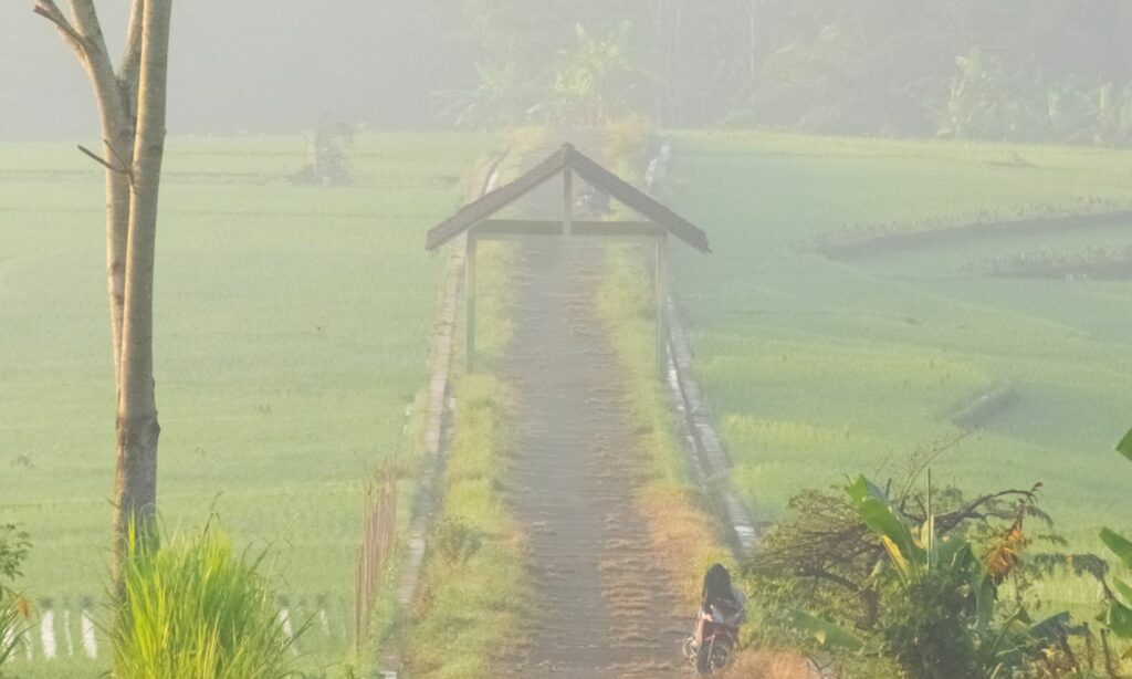 3 Proker KKN yang Terlihat Bermanfaat, tapi Aslinya Menyimpan Persoalan Mojok.co