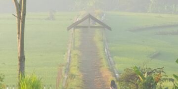 3 Proker KKN yang Terlihat Bermanfaat, tapi Aslinya Menyimpan Persoalan Mojok.co