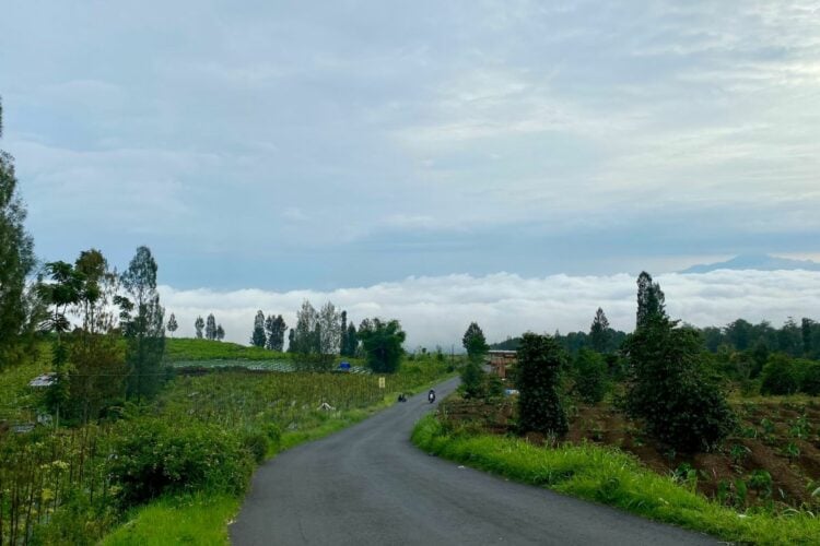 Wonosobo Ternyata Lebih Ramah bagi Wisatawan ketimbang Jogja