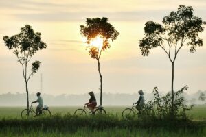 Kecamatan Kradenan Blora dan Kecamatan Kradenan Grobogan: Saudara Kembar Beda Kabupaten yang Bernasib Sama