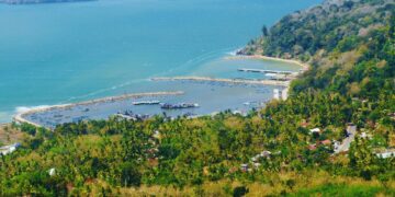 5 Rekomendasi Oleh-Oleh Khas Pacitan yang Cocok Dibawa Pulang Wisatawan