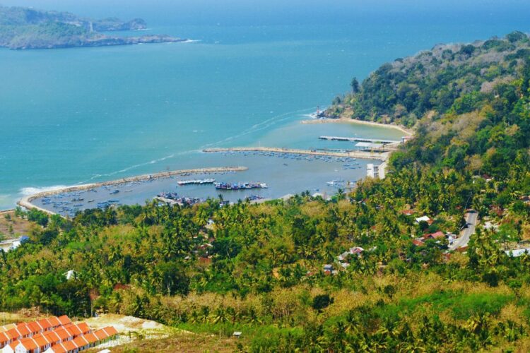 5 Rekomendasi Oleh-Oleh Khas Pacitan yang Cocok Dibawa Pulang Wisatawan