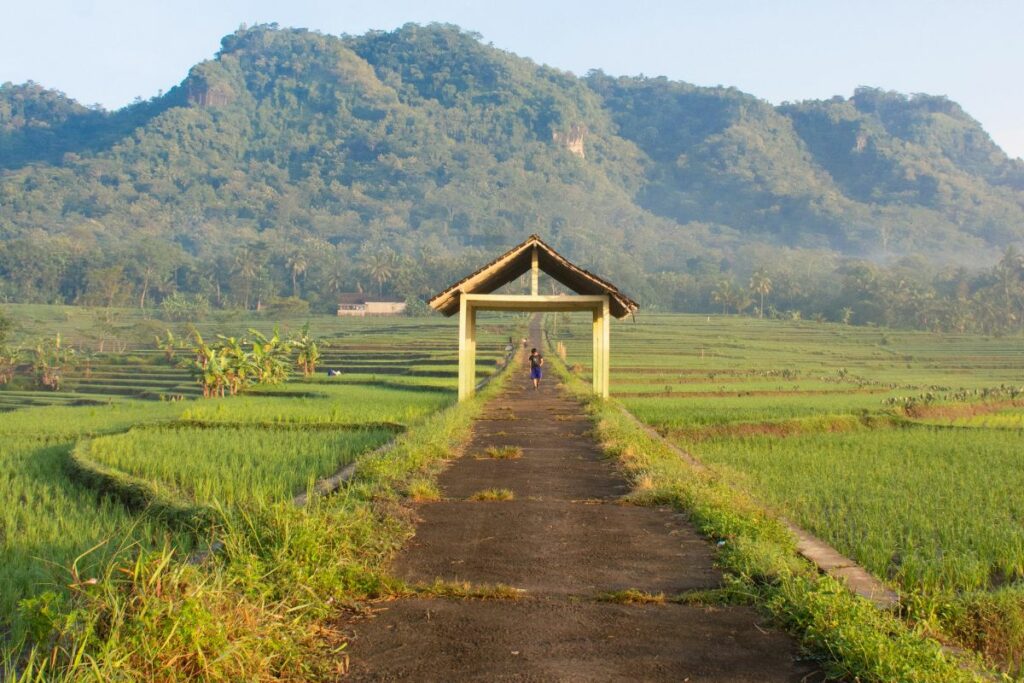 4 Rekomendasi Kuliner Kulon Progo yang Wajib Diketahui Wisatawan