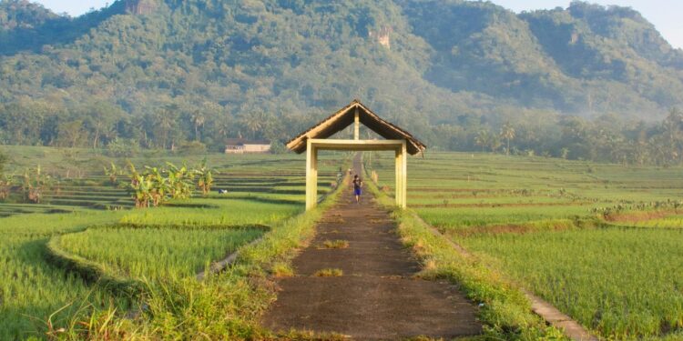 4 Rekomendasi Kuliner Kulon Progo yang Wajib Diketahui Wisatawan