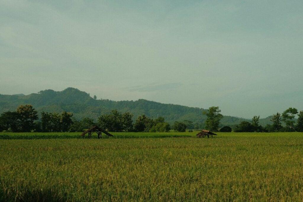 Kecamatan Talang: Kecamatan Paling Seimbang Dunia-Akhirat di Kabupaten Tegal