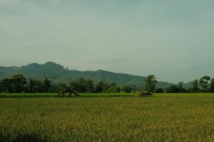Kecamatan Talang: Kecamatan Paling Seimbang Dunia-Akhirat di Kabupaten Tegal