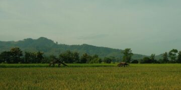 Kecamatan Talang: Kecamatan Paling Seimbang Dunia-Akhirat di Kabupaten Tegal
