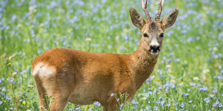 3 Hal yang Buat Saya Bangga Jadi Alumni Polije, Kampus Politeknik Satu-satunya di Jember yang Jarang Disorot