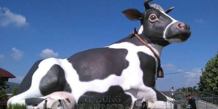 4 Oleh-oleh Boyolali yang Jarang Dilirik Wisatawan, padahal Sangat Layak Jadi Buah Tangan Mojok.co