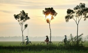 Dear Warga, Jangan Pasang Ekspektasi Terlalu Tinggi ke Mahasiswa KKN, Takutnya Nanti Kecewa