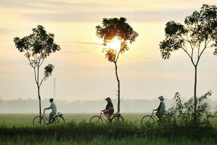Banyumas, Sebaik-baiknya Tempat Pensiun untuk Mereka yang Bercita-cita Memiliki Rumah Impian dan Slow Living