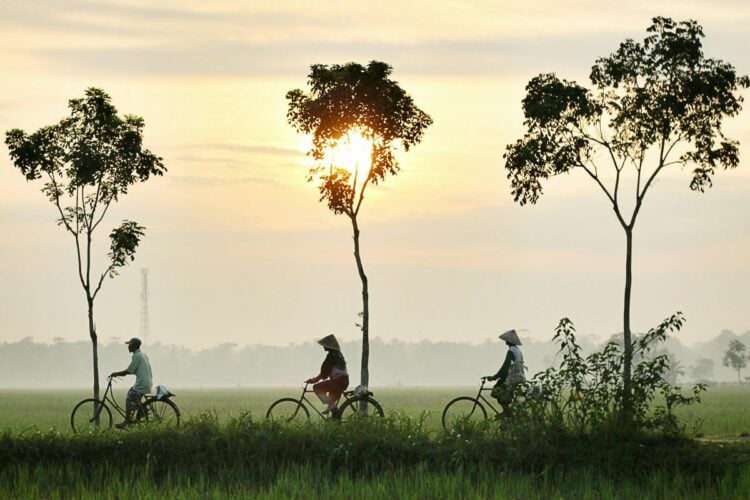 Setelah Pati Bergerak, Saya Berharap Lamongan Juga Tidak Tinggal Diam