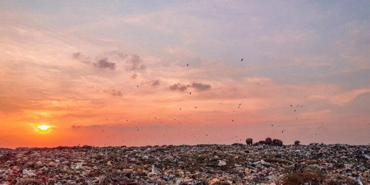 Pekalongan Tak Hanya Kota Batik dan Kota Santri, tapi Juga Kota Darurat Sampah
