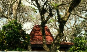 Rumah Joglo Memang Unik, tapi Nggak Semua Orang Cocok Termasuk Saya Mojok.co