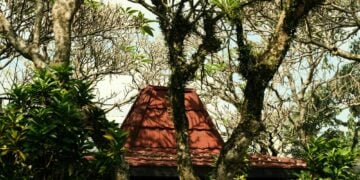 Rumah Joglo Memang Unik, tapi Nggak Semua Orang Cocok Termasuk Saya Mojok.co
