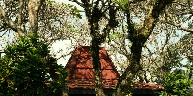 Rumah Joglo Memang Unik, tapi Nggak Semua Orang Cocok Termasuk Saya Mojok.co