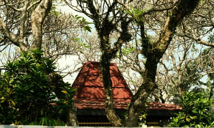 Rumah Joglo Memang Unik, tapi Nggak Semua Orang Cocok Termasuk Saya Mojok.co