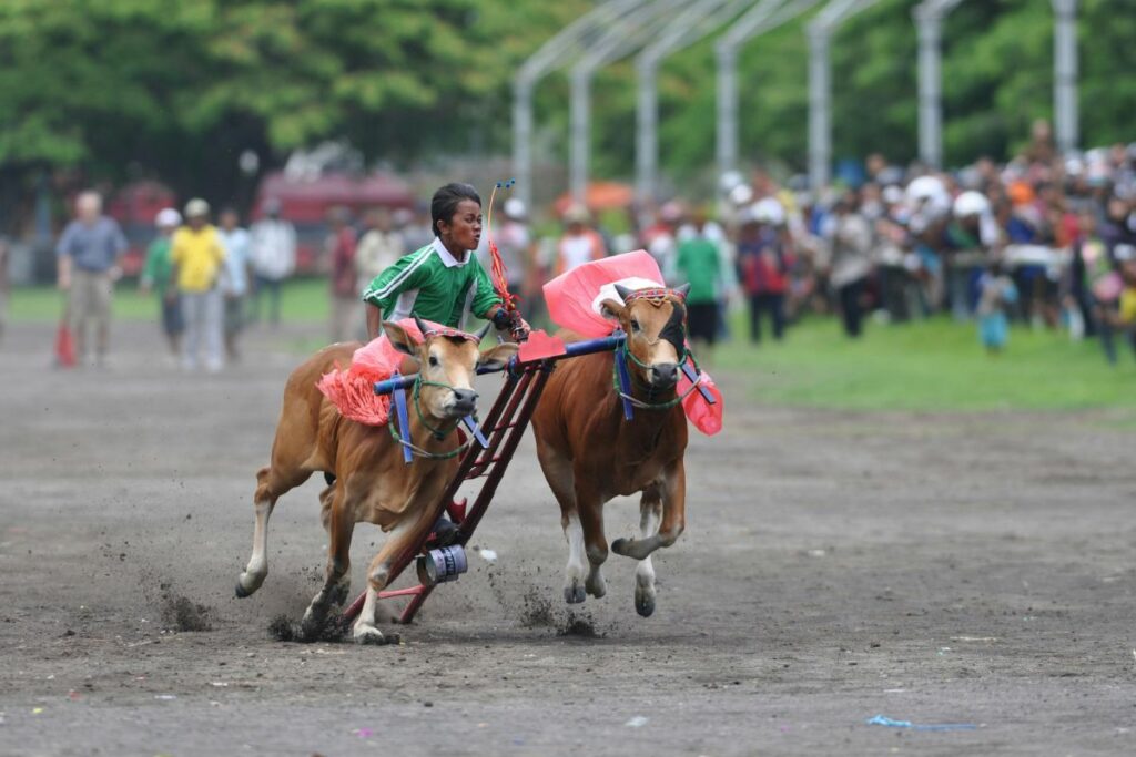 6 Dosa Pemerintah Desa Dharma Camplong di Sampang Madura yang Bikin Warga Mengelus Dada