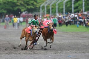6 Dosa Pemerintah Desa Dharma Camplong di Sampang Madura yang Bikin Warga Mengelus Dada