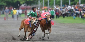 6 Dosa Pemerintah Desa Dharma Camplong di Sampang Madura yang Bikin Warga Mengelus Dada