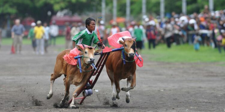 6 Dosa Pemerintah Desa Dharma Camplong di Sampang Madura yang Bikin Warga Mengelus Dada