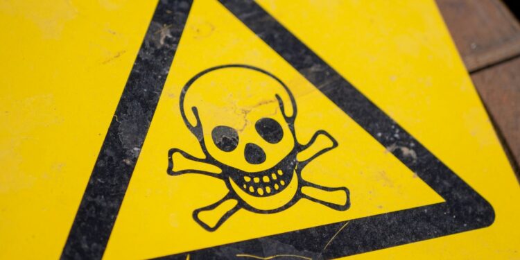 Makan Bergizi Gratis Tujuannya Bikin Kita Masuk Rumah Sakit (Unsplash)