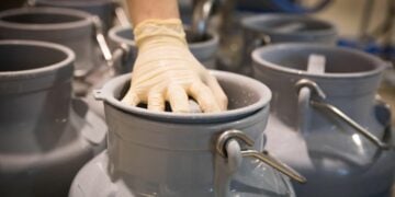 Dari Setetes Susu, Lahir Sebuah Pilihan: Ini Alasan Saya Memilih Jurusan Peternakan