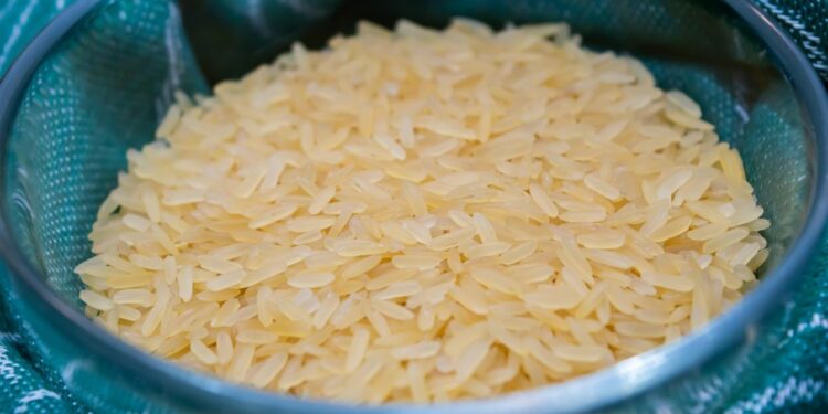 Panduan Makan Sego Godog bagi Kalian yang Belum Pernah atau Jijik Liat Bentuknya