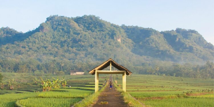 4 Tempat Wisata Kulon Progo yang Direkomendasi Warga Lokal untuk Mencari Ketenangan Mojok.co