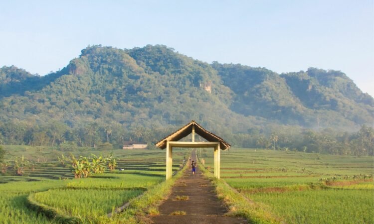 4 Tempat Wisata Kulon Progo yang Direkomendasi Warga Lokal untuk Mencari Ketenangan Mojok.co