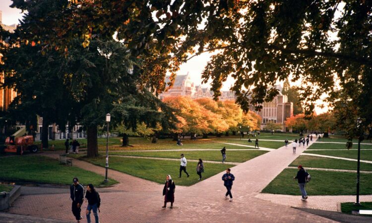 Tidak Menyesal Pernah Menelantarkan Kuliah demi Aktif di Ormas Besar Mojok.co