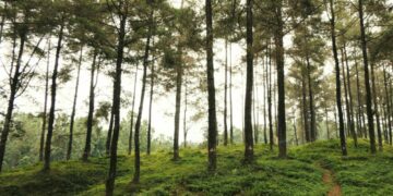 4 Rekomendasi Tempat Healing Murah Meriah di Banyumas yang Menurut Warga Lokal Layak Diketahui Banyak Orang Mojok.co