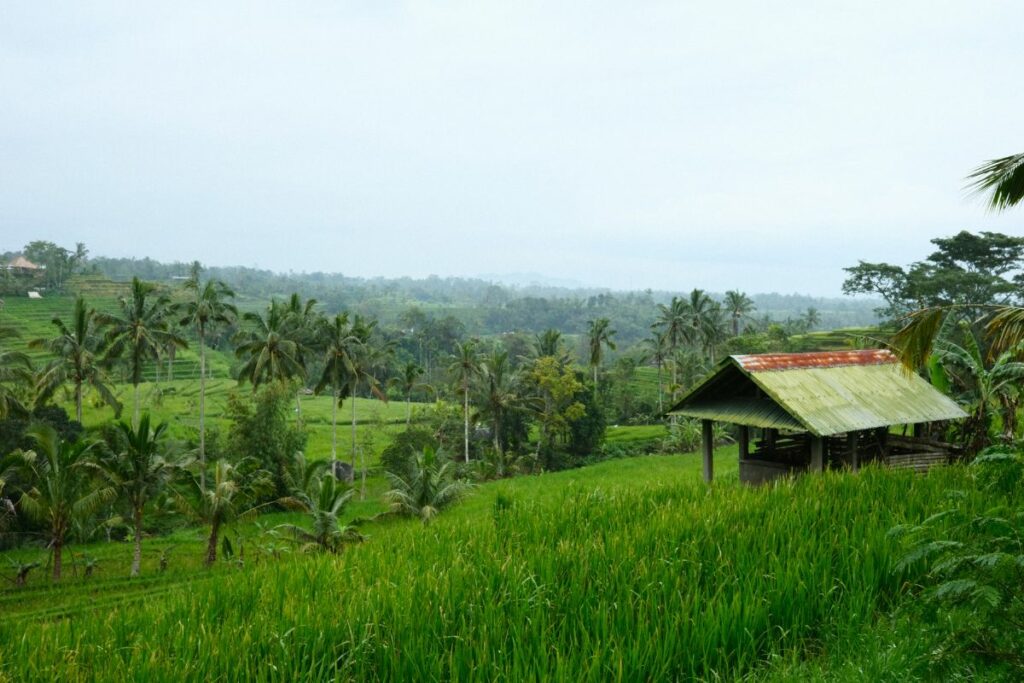 Hidup di Desa Nggak Seindah Bayangan, Banyak Iuran yang Harus Dibayarkan kalau Nggak Mau Jadi Bahan Omongan