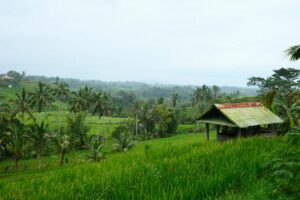 Hidup di Desa Itu Murah, yang Mahal Adalah Ongkos Sosialnya, dan Ini Rinciannya