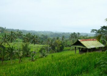 Hidup di Desa Nggak Seindah Bayangan, Banyak Iuran yang Harus Dibayarkan kalau Nggak Mau Jadi Bahan Omongan