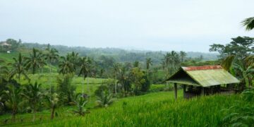 Hidup di Desa Nggak Seindah Bayangan, Banyak Iuran yang Harus Dibayarkan kalau Nggak Mau Jadi Bahan Omongan