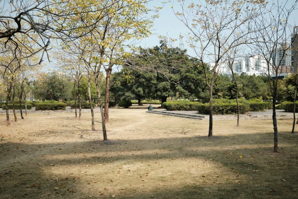 Taman Budaya Cepu Bukti Pemkab Blora Terlalu Gegabah