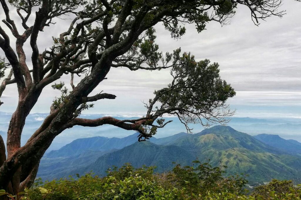 4 Keistimewaan Bojonegoro di Mata Orang Blora yang Memantik Rasa Iri
