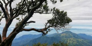 4 Keistimewaan Bojonegoro di Mata Orang Blora yang Memantik Rasa Iri