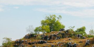 3 Rencana Proyek Pembangunan di Madura yang Terdengar Brilian padahal Cuma Ide Ngasal!