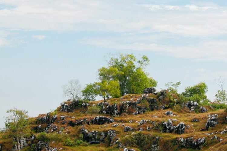 3 Rencana Proyek Pembangunan di Madura yang Terdengar Brilian padahal Cuma Ide Ngasal!