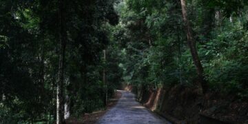 Pengalaman Motoran Lamongan-Jogja: Mulai Jalur Rusak sampai Alas Ngawi yang Menghipnotis untuk Tidur Sesaat