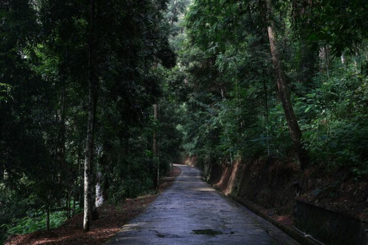 Pengalaman Motoran Lamongan-Jogja: Mulai Jalur Rusak sampai Alas Ngawi yang Menghipnotis untuk Tidur Sesaat