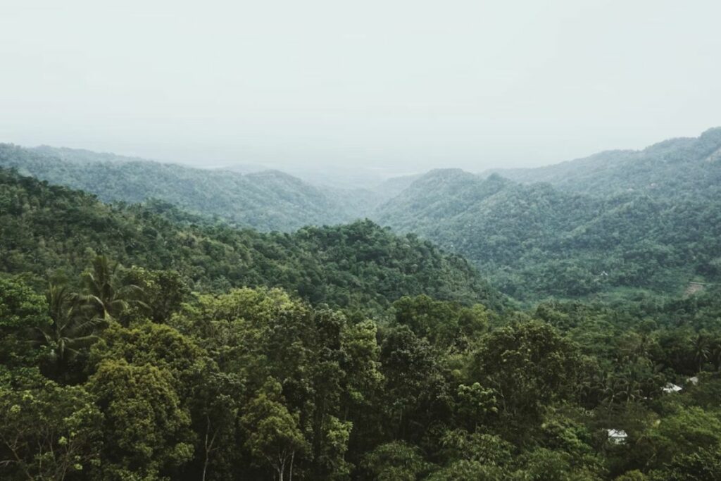 Ganti Ikon, tapi Jalan Masih Bolong: Kulon Progo Butuh Prioritas, Bukan Sekadar Polesan