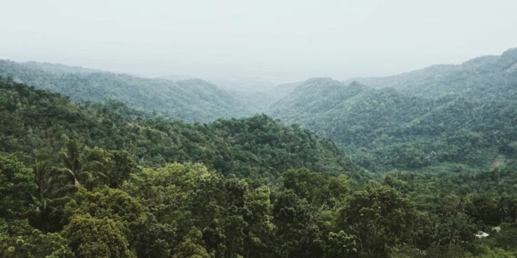 Ganti Ikon, tapi Jalan Masih Bolong: Kulon Progo Butuh Prioritas, Bukan Sekadar Polesan