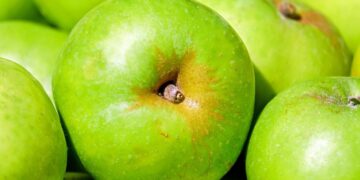 Keripik Buah Malang : Oleh-Oleh Khas Kota Apel yang 95% Isinya Angin dan 5% Kepingan Buah Penghibur