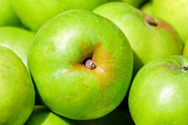 Keripik Buah Malang : Oleh-Oleh Khas Kota Apel yang 95% Isinya Angin dan 5% Kepingan Buah Penghibur