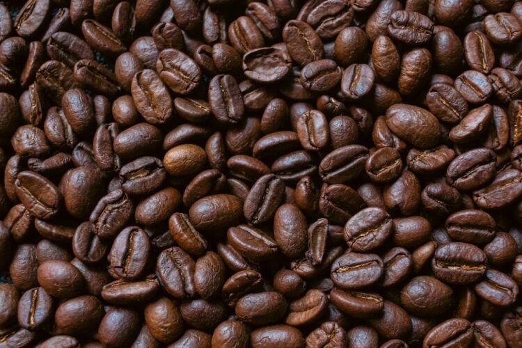 Kopi Arabika, Jenis Kopi Terenak yang Cocok dengan Segala Jenis Merek Rokok